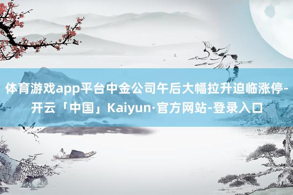 体育游戏app平台中金公司午后大幅拉升迫临涨停-开云「中国」Kaiyun·官方网站-登录入口