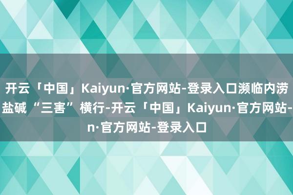 开云「中国」Kaiyun·官方网站-登录入口濒临内涝、风沙、盐碱 “三害” 横行-开云「中国」Kaiyun·官方网站-登录入口