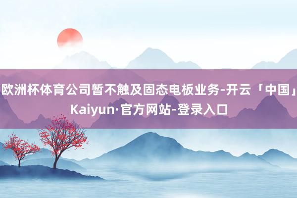 欧洲杯体育公司暂不触及固态电板业务-开云「中国」Kaiyun·官方网站-登录入口