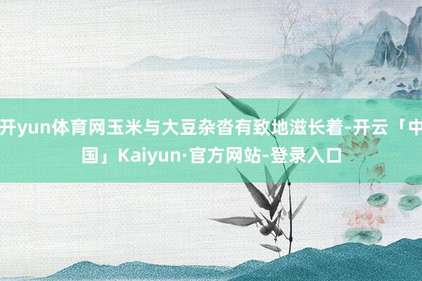 开yun体育网玉米与大豆杂沓有致地滋长着-开云「中国」Kaiyun·官方网站-登录入口