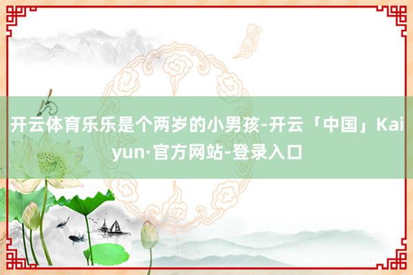 开云体育乐乐是个两岁的小男孩-开云「中国」Kaiyun·官方网站-登录入口